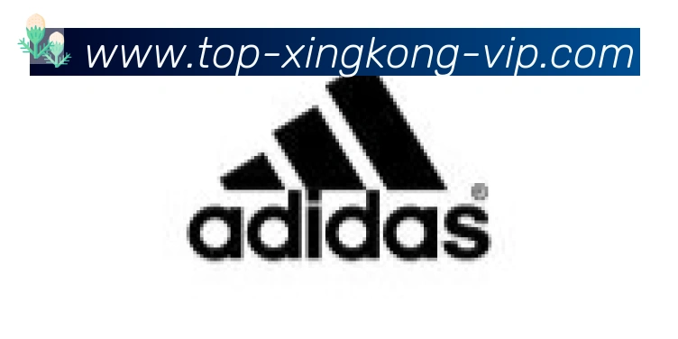 星空体育官网合作伙伴